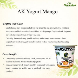 AK Yogurt Mango