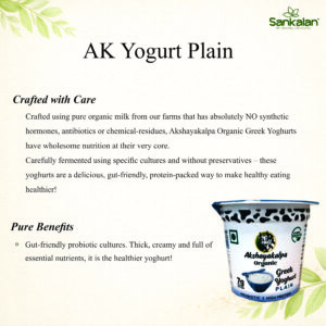 AK Yogurt Plain