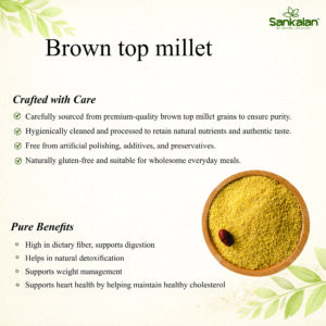 Brown top millet