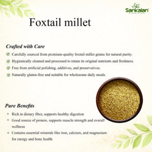 Foxtail millet