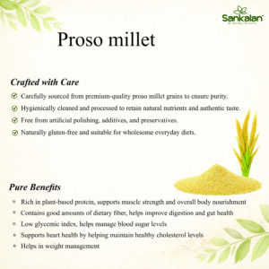 Proso millet
