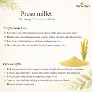 Proso millet