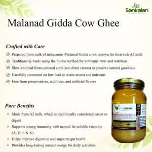 Malanad Gidda Cow Ghee