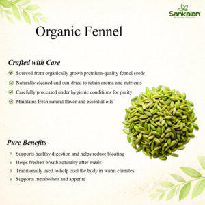 Organic Fennel